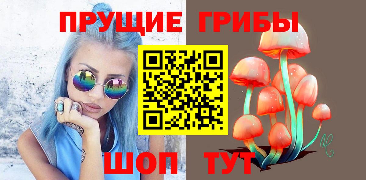 Псилоцибиновые грибы MAGIC MUSHROOMS Будённовск
